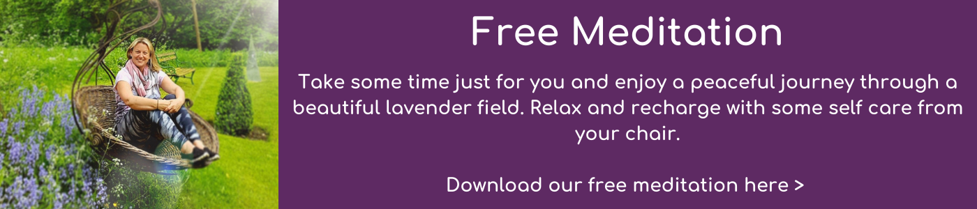 free download lavender fields meditation